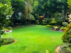 Land For Sale in Wattala
