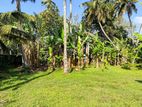 Land for Sale in Wattala