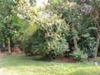 Land for sale in Wattala ( Mabola)