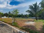Land for Sale in Wattala, Mabola, Singha Road