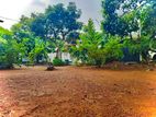 Land for Sale in Wattala, Mahabage