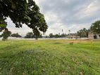 Land for Sale in Wattala - Palliyawatta Rd