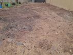 Land For Sale in Wattala (SSPL-338)