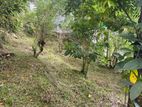 Land for Sale in Wattegama