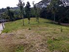 Land for Sale in Wattegama