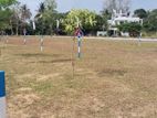 Land for Sale in Watthala