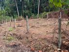 Land for Sale in Webada, Kadawatha