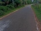 Land for Sale in Weerakatiya
