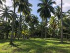 Land for Sale in Weerakatiya