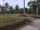 Land for sale in Weerangula