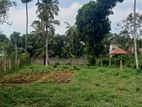 Land for Sale in Weerawila