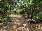 Land for Sale in Wehera, Kurunegala