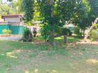 Land For Sale In Wekada-Panadura