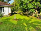 Land for Sale in Wekada Panadura - With Old House Asking Perch Value