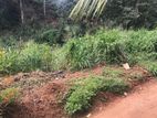 Land for Sale in Weligalla