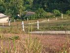 Land for Sale in Weligama CL-641