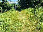 Land for Sale in Weligama - CL601