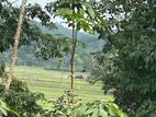 Land for Sale in Weligama – Code Add 833