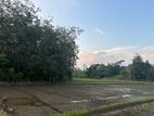 Land for Sale in Weligama –Code Add 842