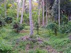 Land for Sale in Weligama