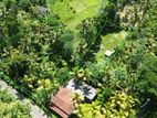 Land for Sale in Weligama