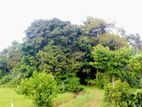 Land for Sale in Weligama