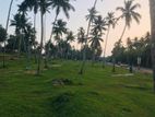 Land for Sale in Weligama