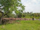 Land for Sale in Weligama