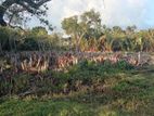 Land for Sale in Weligama