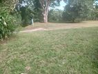 Land For Sale in Weligama (SSPL-191)
