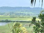 Land for Sale in Weligama with Paddy Lands Views -Code Add 600