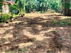 Land for Sale in Weligampitiya - Bollatha