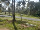 Land for Sale in Welihida