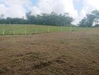 Land for Sale in Welipenna