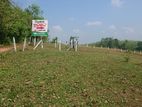 Land for Sale in Welipenna