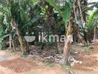 Land for Sale in Welipitiya