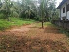 Land for Sale in Weliveriya