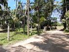 Land for Sale in Weliveriya