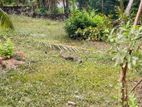 Land for Sale in Welivita Kaduwela