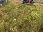 LAND FOR SALE IN WELIWARIYA (SP994)