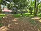 Land for Sale in Weliweriya - CL622