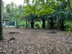 Land for sale in Weliweriya
