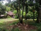 Land For Sale In Weliweriya