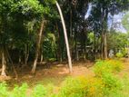 Land for Sale in Weliweriya