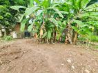 Land for Sale in Weliweriya