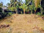 Land for Sale in Weliweriya