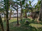 Land For Sale In Weliweriya