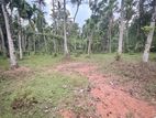 Land for Sale in Weliweriya
