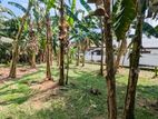 Land for sale in weliweriya
