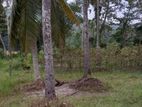 Land for Sale in Weliweriya - Gampaha